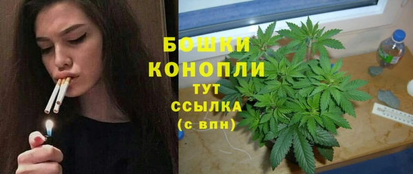 spice Рославль