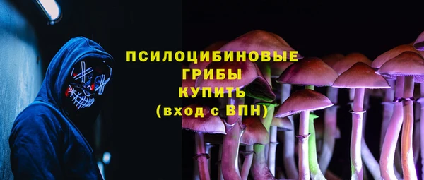 ПСИЛОЦИБИНОВЫЕ ГРИБЫ Беломорск