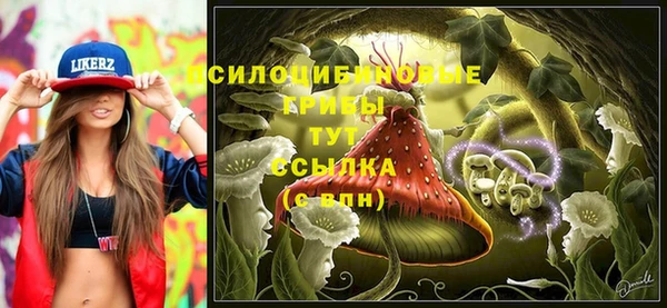 спайс Сатка