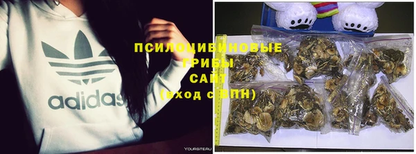 ПСИЛОЦИБИНОВЫЕ ГРИБЫ Беломорск
