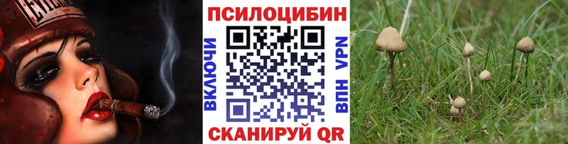купить закладку  Красноуфимск  Галлюциногенные грибы Psilocybine cubensis 